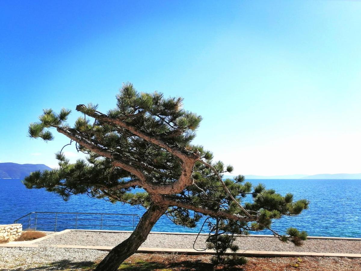 Apartment Suzie Q - Intermezzo With Sea View Rabac Kültér fotó